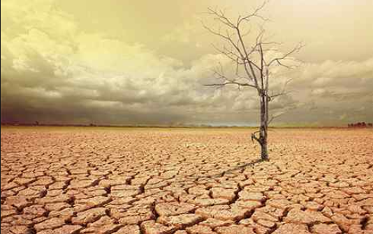 مصرف سالانه آب در تهران بالای ۱۰۰ میلیون متر مکعب است