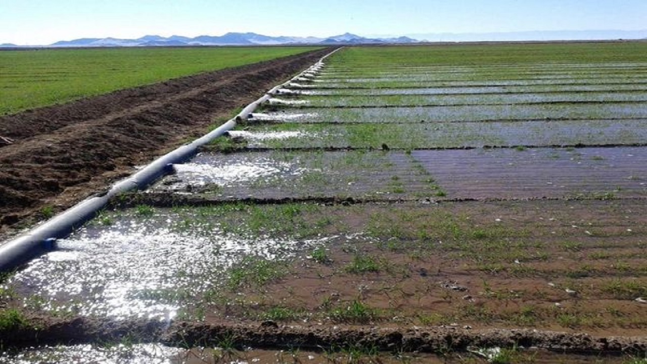 خراسان جنوبی پیشتاز در اجرای سیستم های نوین آبیاری