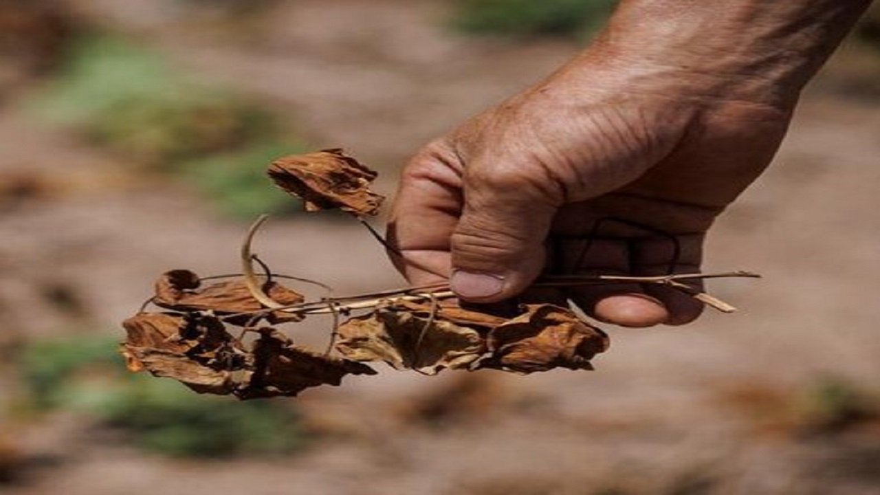 استمرار خشکسالی اصفهان تا ۴۵روز آینده