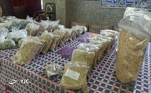 نمایش توانمندیهای بانوان روستای کوشک در جشنواره بانوی روستا نمایش توانمندیهای بانوان روستای کوشک در جشنواره بانوی روستا