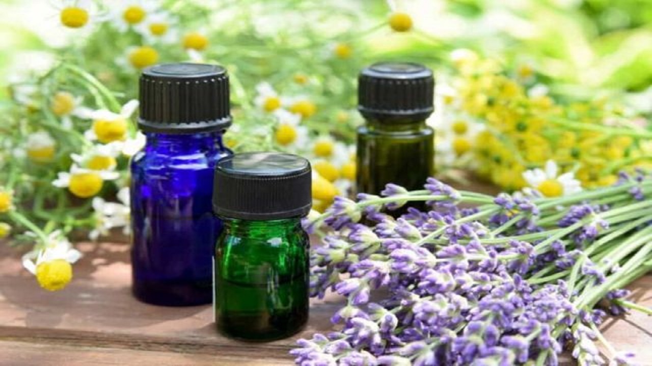 ارسال اسانس‌های گیاهی ایرانی به اروپا