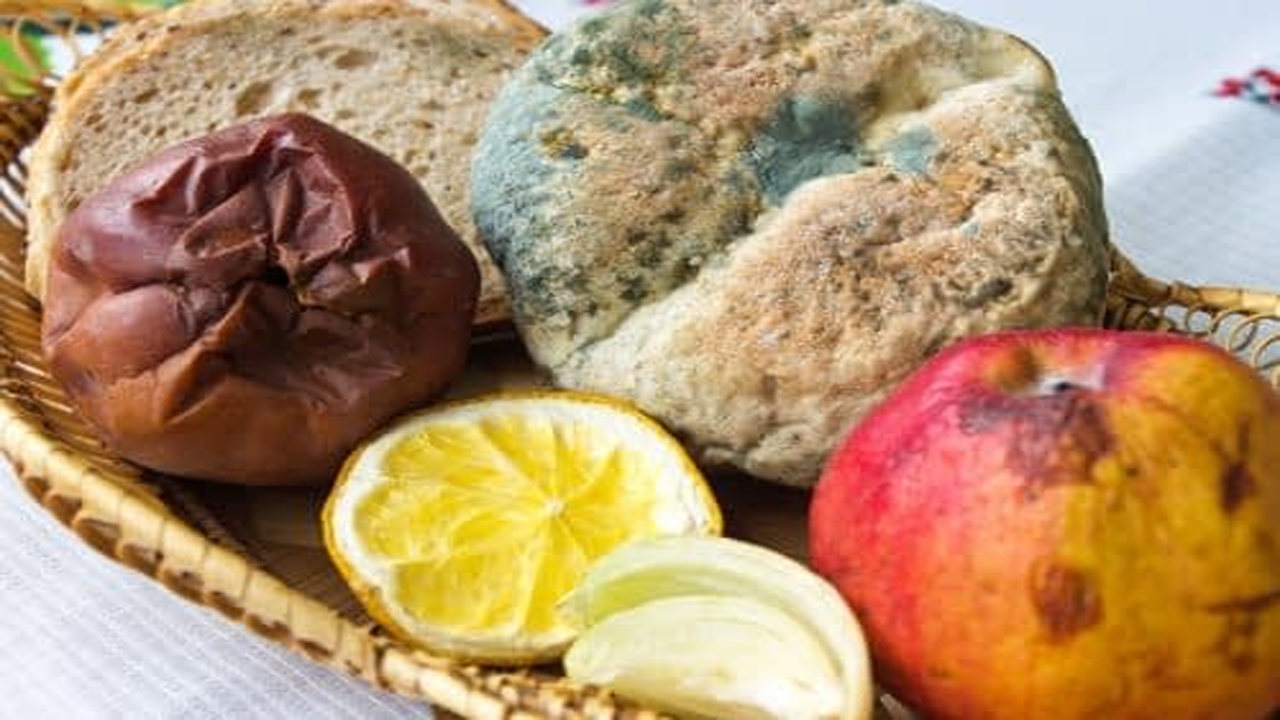 با این راهکار از فاسد شدن غذا‌ها پیشگیری کنید