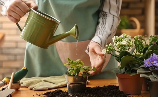 آب دادن به گلها