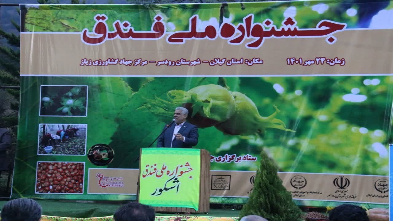 جشنواره شکرانه برداشت فندق در رودسر + تصاویر