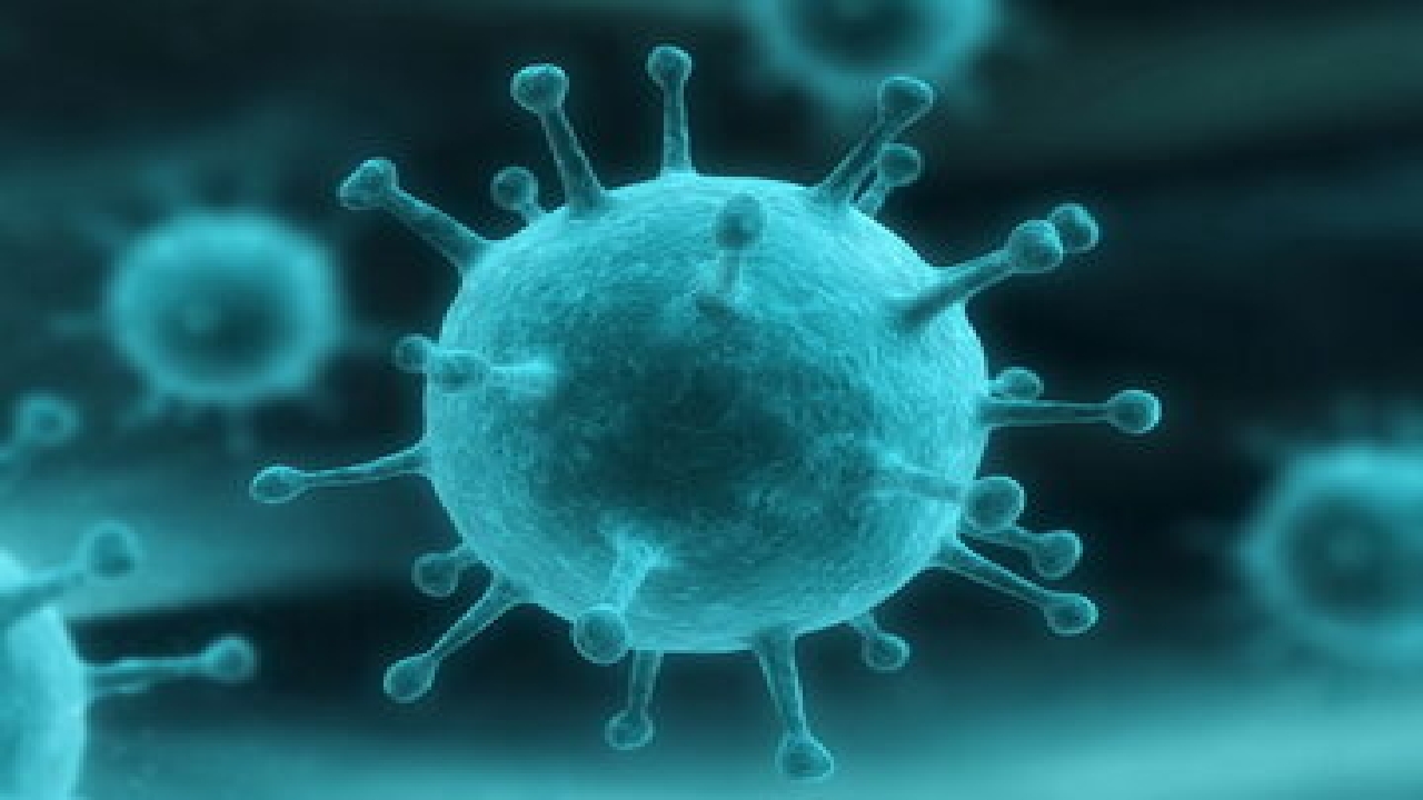 ویروس آنفلوانزا و کرونا در جامعه در حال چرخش است