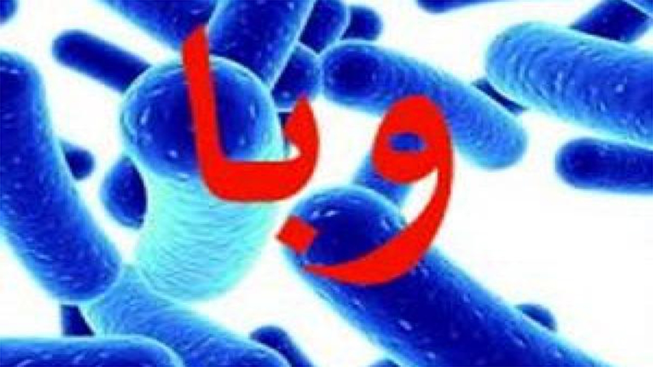 راه‌های انتقال بیماری وبا را بشناسیم