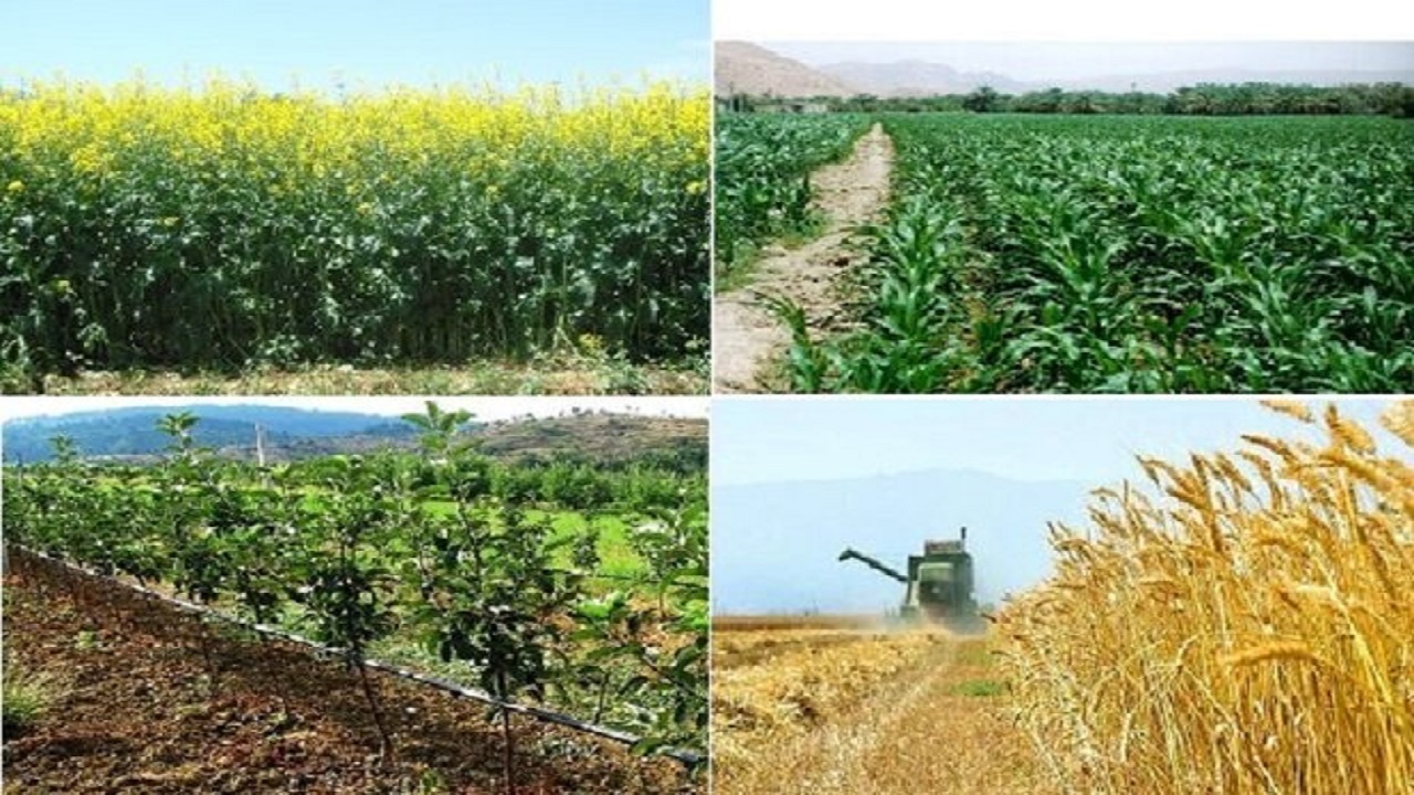 خطر سرمازدگی برای کشاورزی استان مرکزی