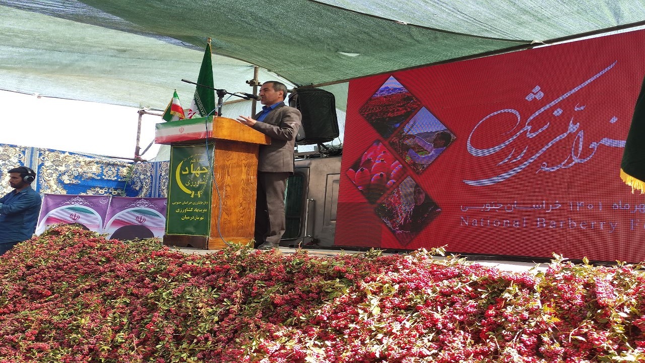 چشم امید کشاورزان به برکات جشواره زرشک