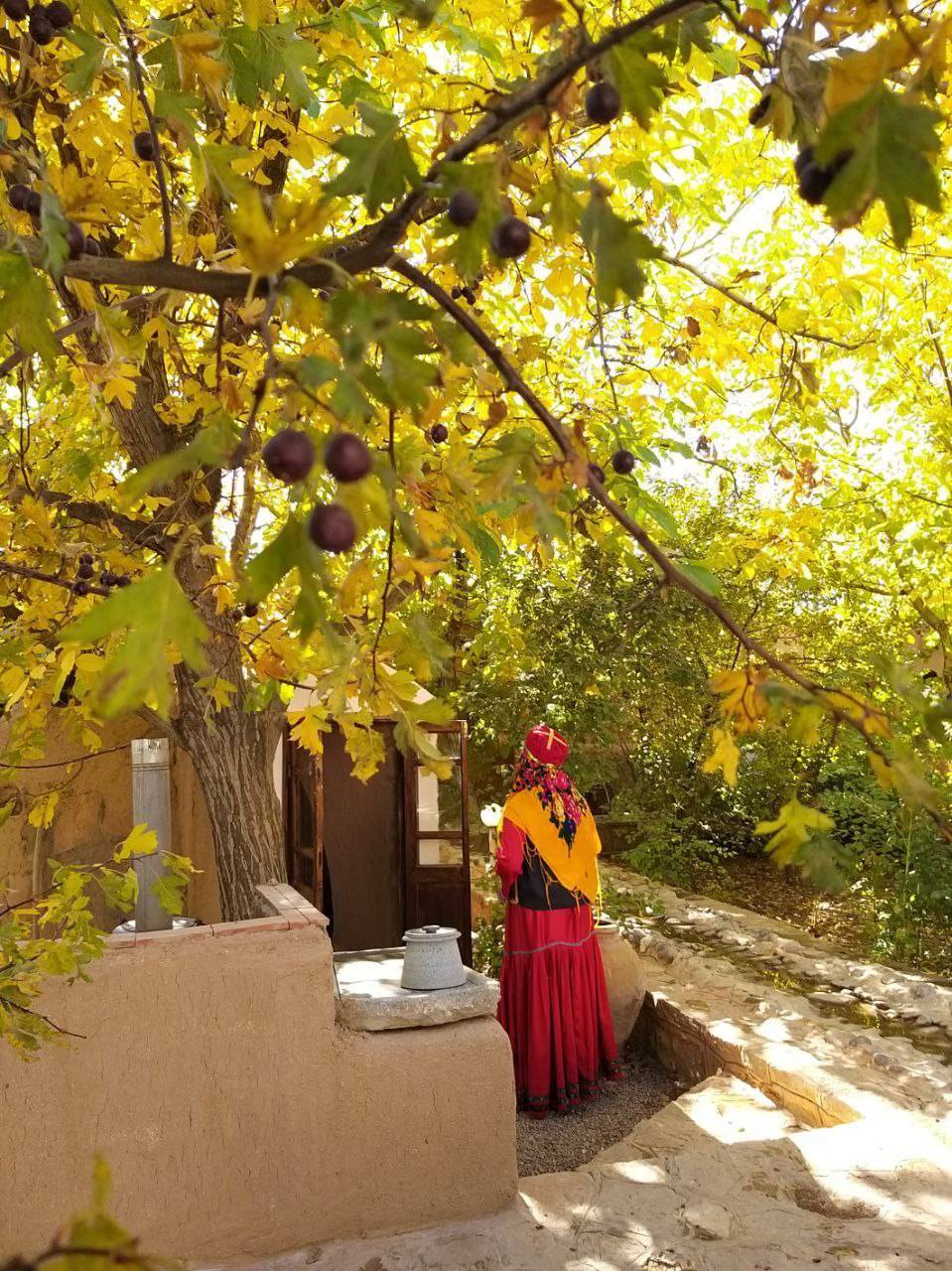 تصاویری از بومگردی پاییزی رادکان چناران