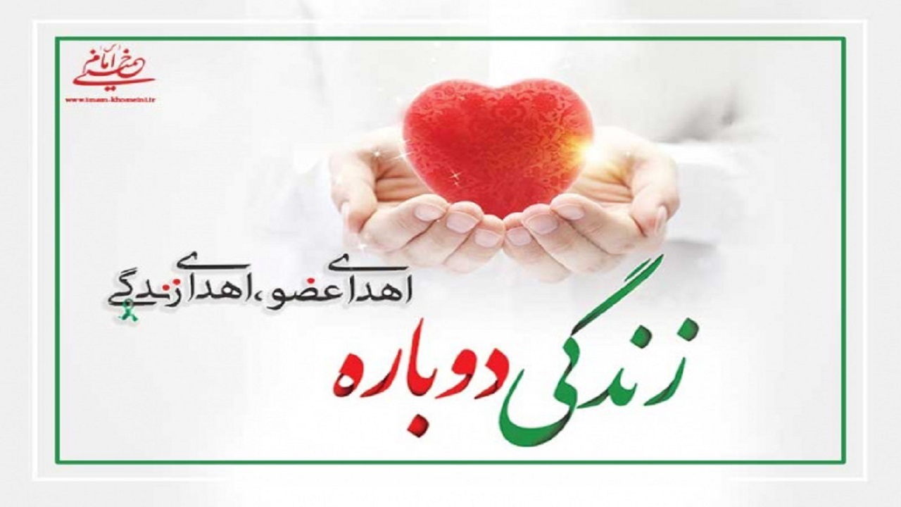 اهدای عضو زندگی دوباره