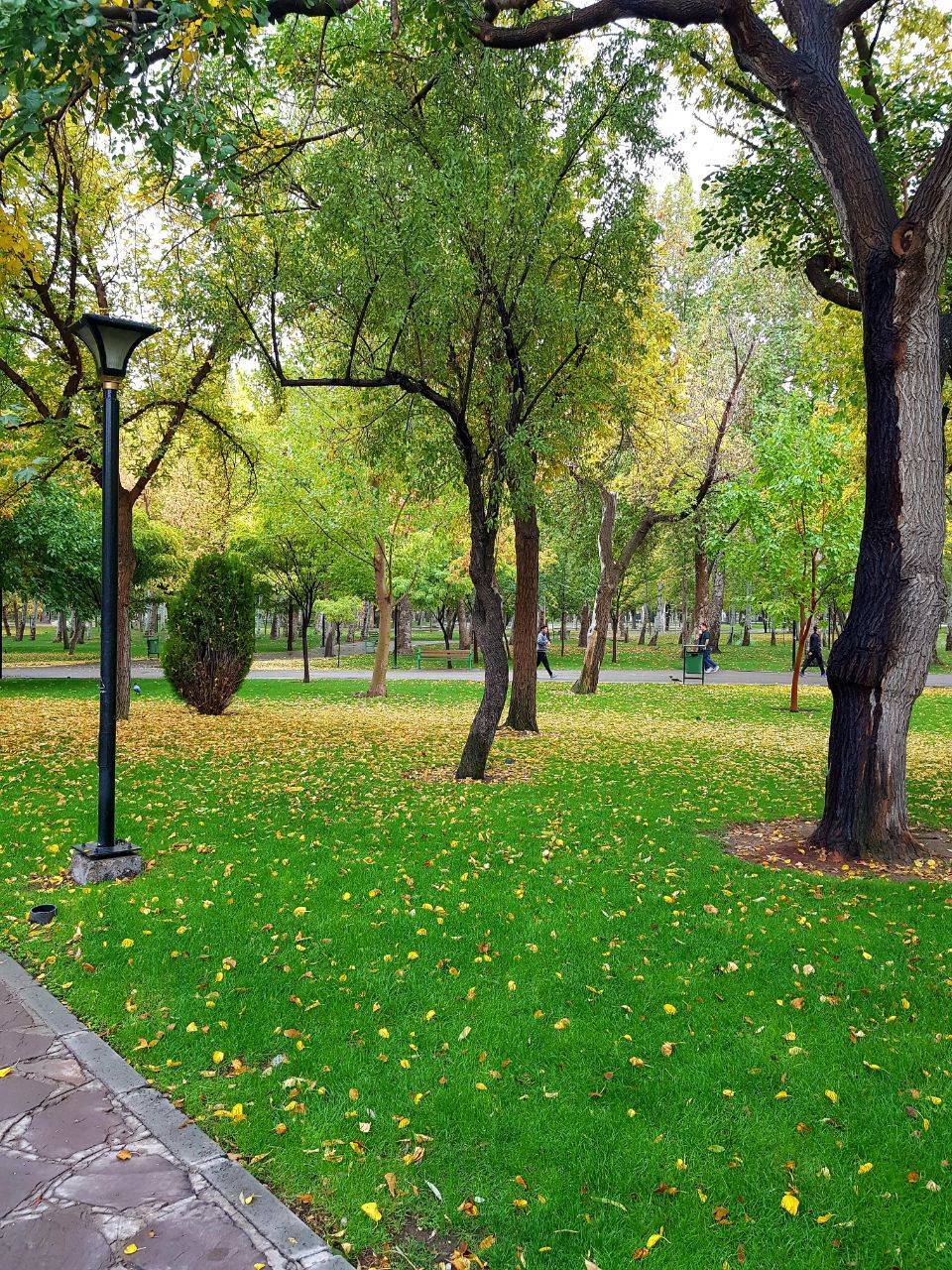 تصاویری از پاییز رنگارنگ در پارک ملت مشهد