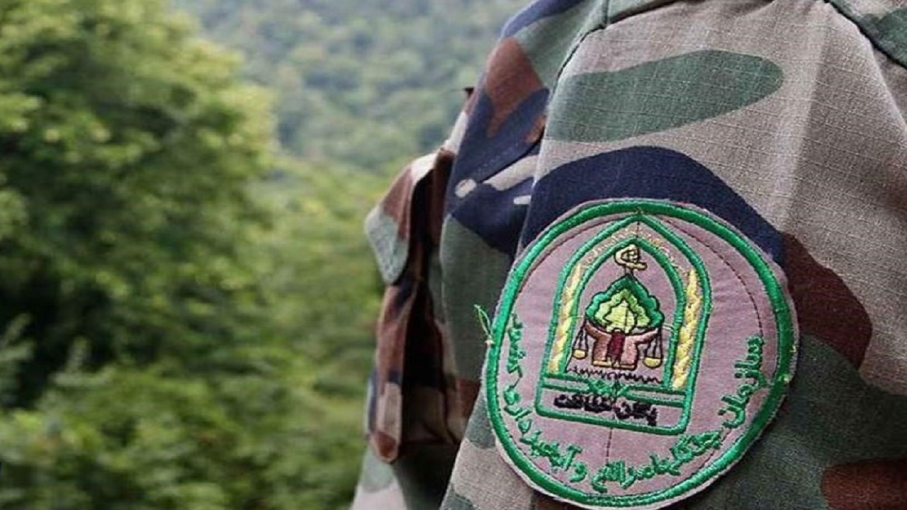 حمله قاچاقچیان چوب به مامور یگان حفاظت منابع طبیعی در چهارمحال و بختیاری