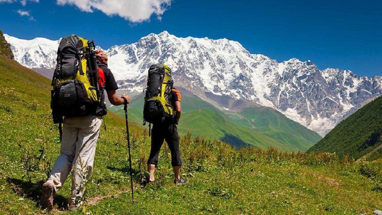 طبیعت چه تأثیری بر مغز ما می گذارد ؟