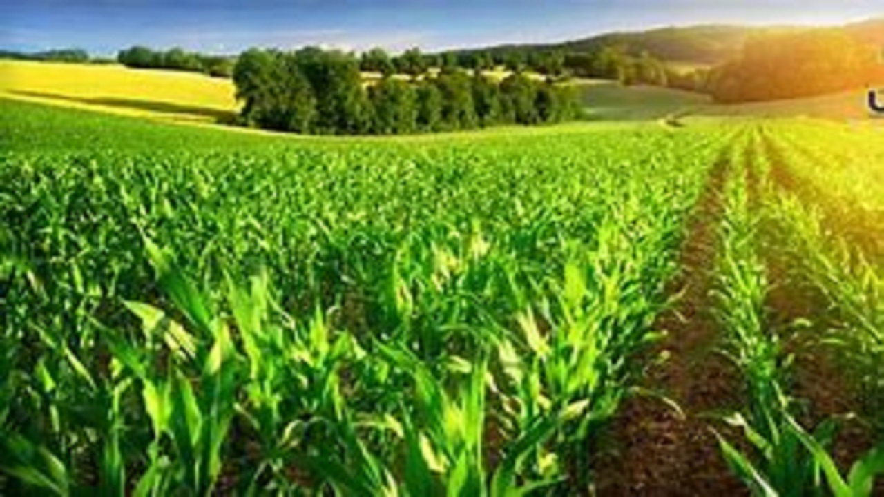 همه زمین‌های کشاورزی تا سال ۱۴۰۴ سنددار می‌شود