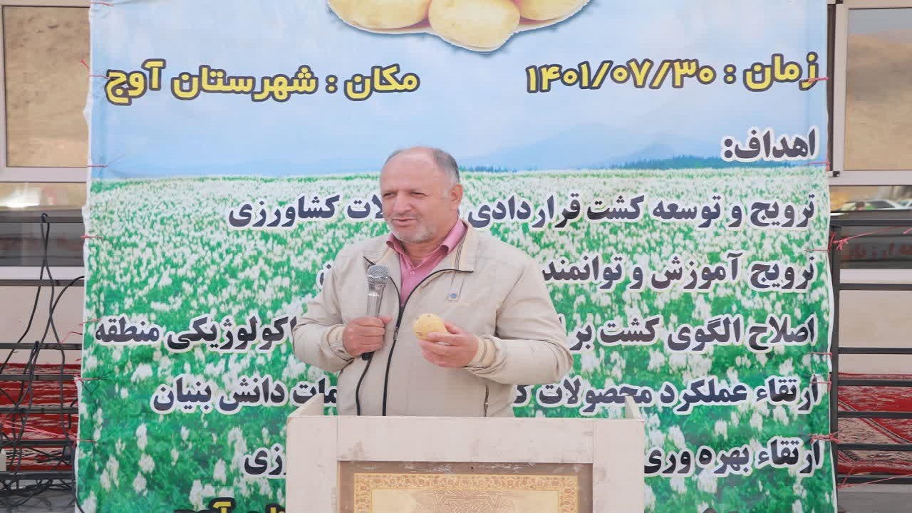 برنامه کشت قراردادی سیب زمینی تا هزار هکتار برای استان قزوین
