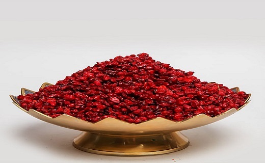 تأسیس شرکت سرمایه گذاری راهی برای قیمت گذاری واقعی زرشک