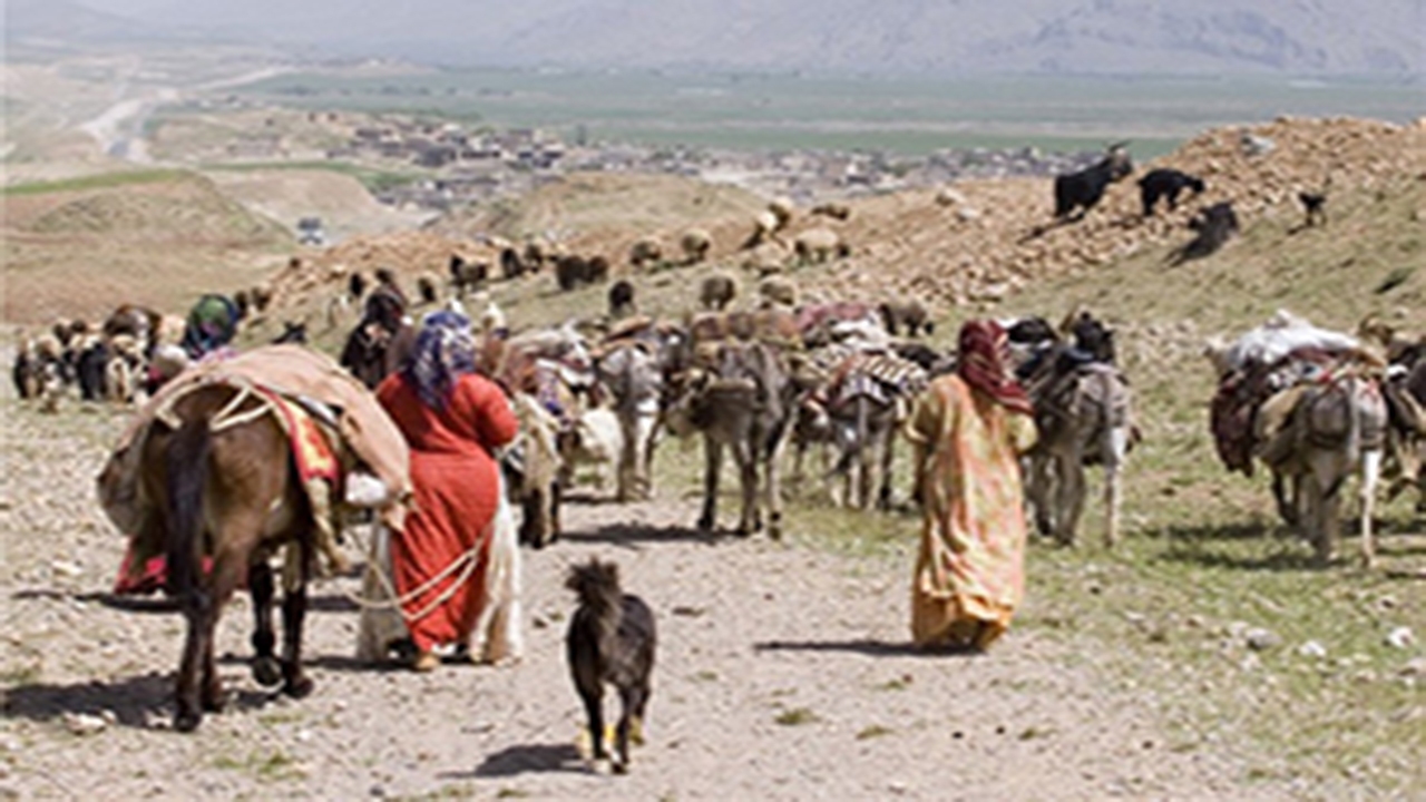 آغاز کوچ پاییزه عشایر به شهرستان خنج با تاخیر یک ماهه