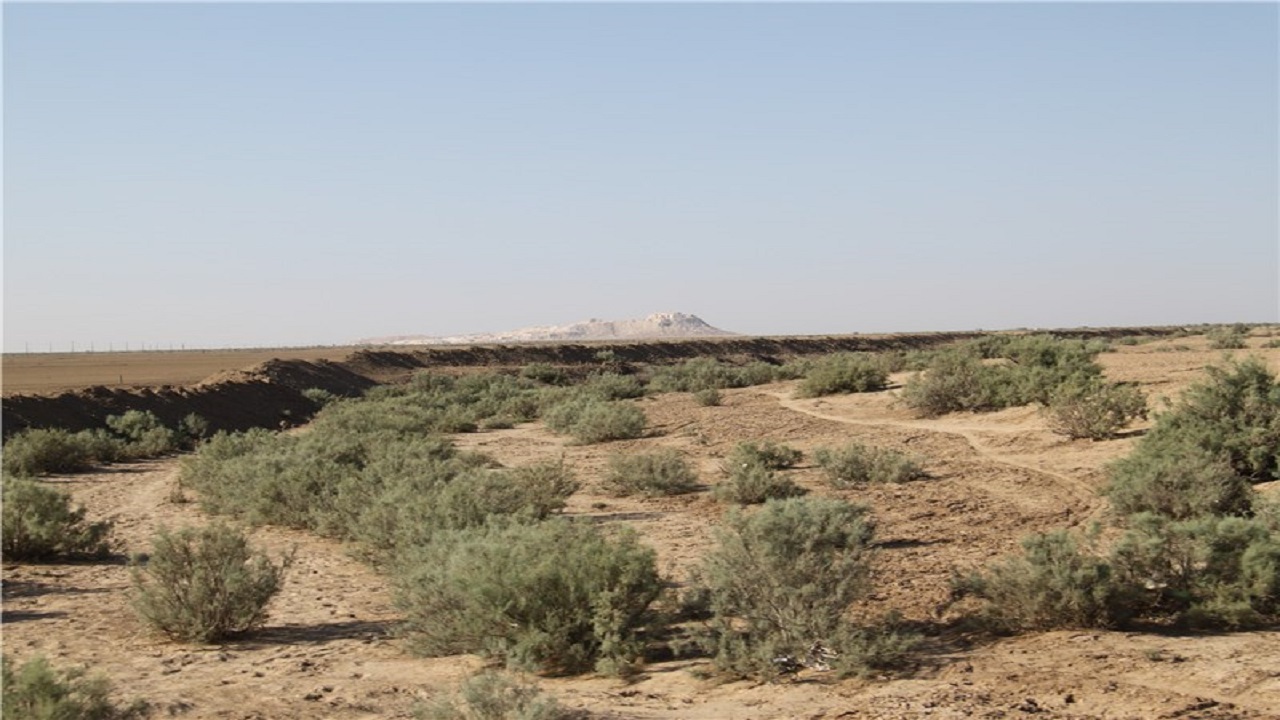 مطالعه ایجاد پوشش گیاهی در مناطق بیابانی دشت قزوین