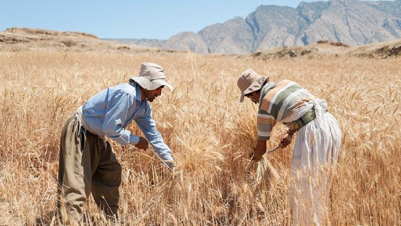 حرکت برزگران در یک خط افقی برای درو کردن یک قطعه معین حرکت برزگران در یک خط افقی برای درو کردن یک قطعه معین