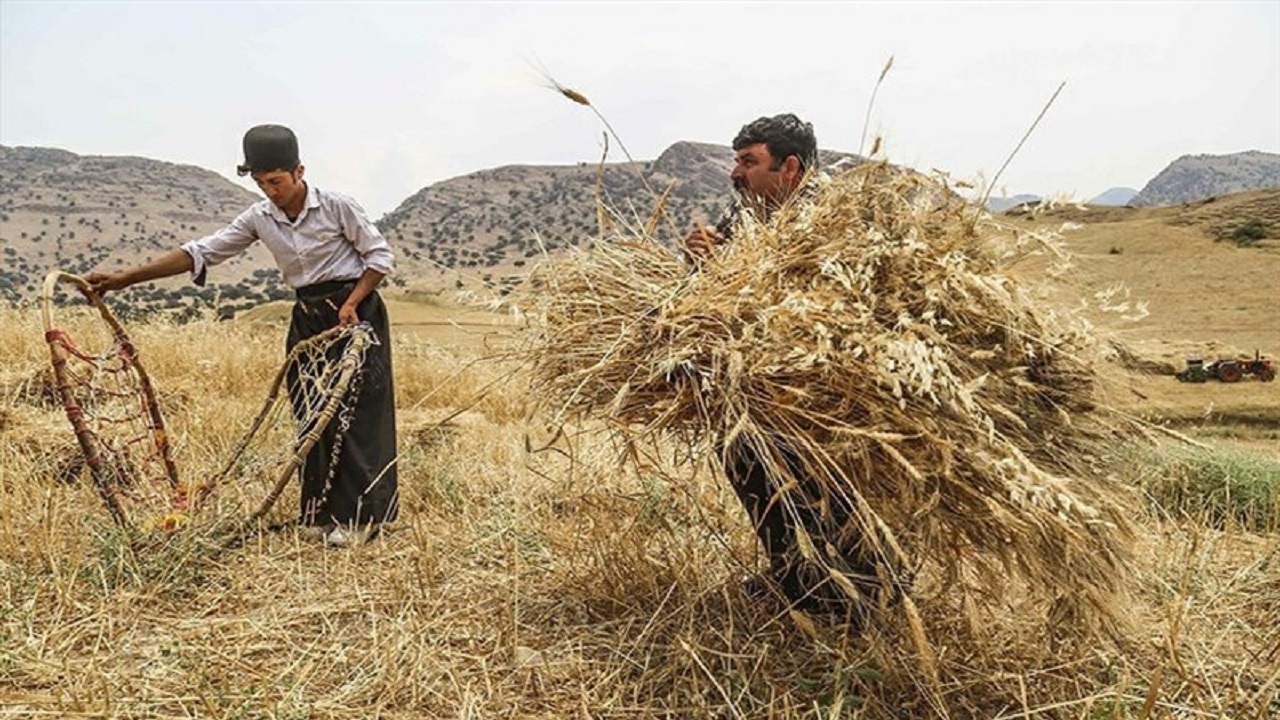 رسم کهن هیاری رسم کهن هیاری