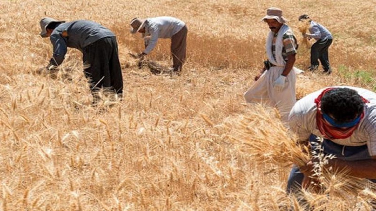 حرکت برزگران در یک خط افقی برای درو کردن یک قطعه معین حرکت برزگران در یک خط افقی برای درو کردن یک قطعه معین