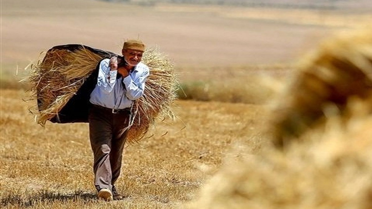 پیرمردان کهن بختیاری مردان اول میدان در هیاری پیرمردان کهن بختیاری مردان اول میدان در هیاری