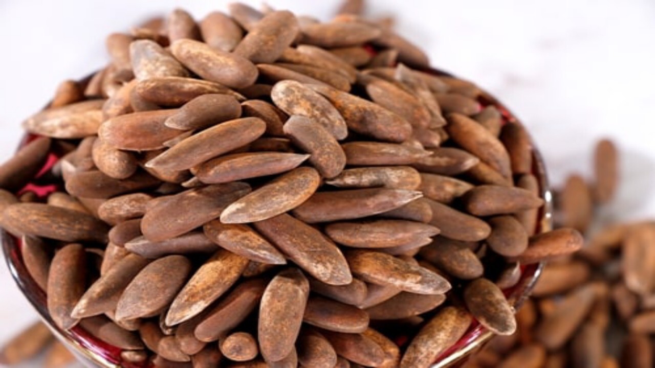 نخستین محموله جلغوزه افغانستان به ایتالیا صادر شد