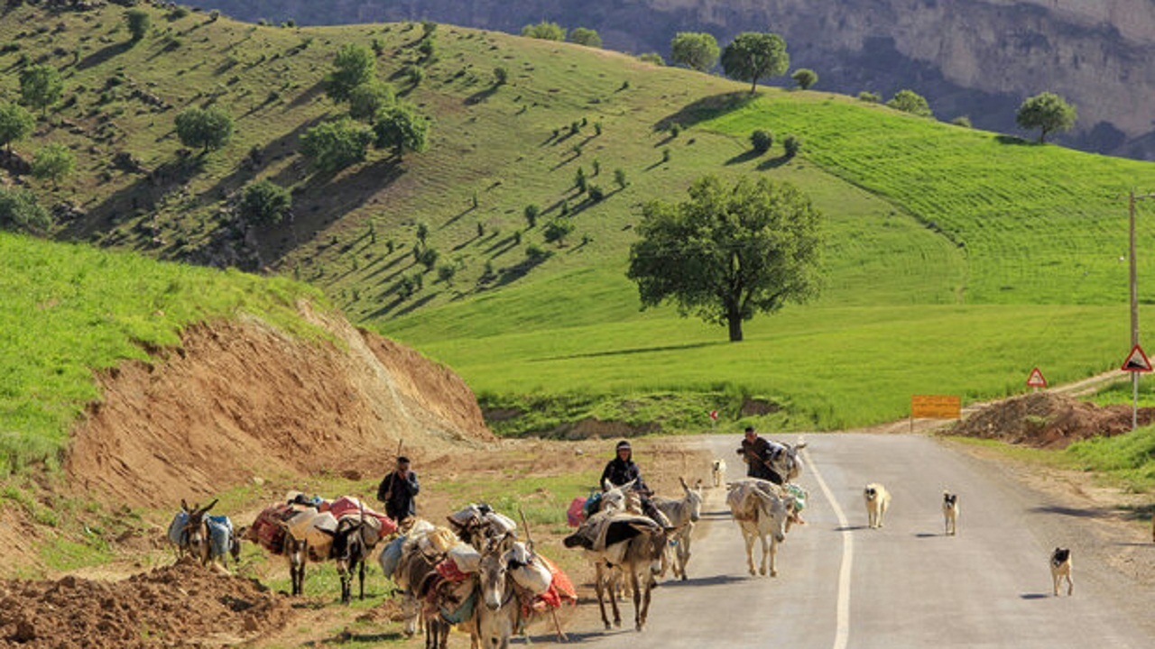 خوزستان از ۱۵ آبان میزبان عشایر کوچ رو است
