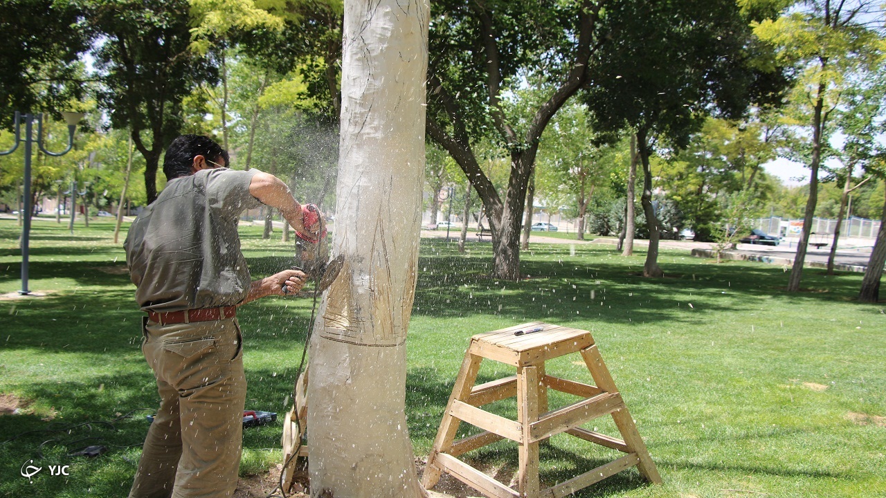 موجودات بی&zwnj;روحی که با دستان توانگر، جانی دوباره می&zwnj;گیرند