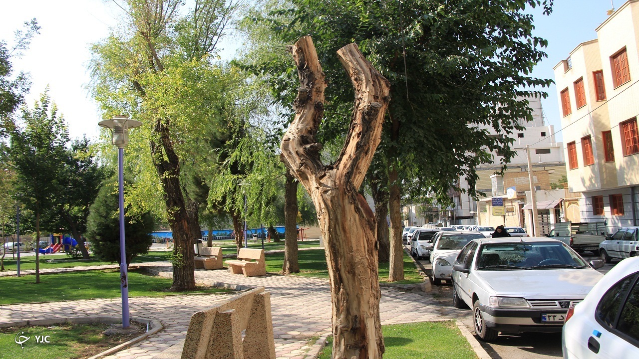 موجودات بی&zwnj;روحی که با دستان توانگر، جانی دوباره می&zwnj;گیرند