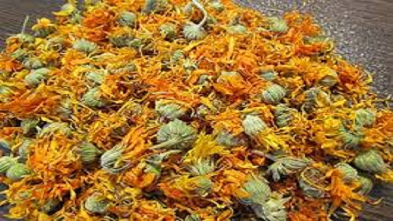 برگزاری جشنواره «گلرنگ» در کبودراهنگ