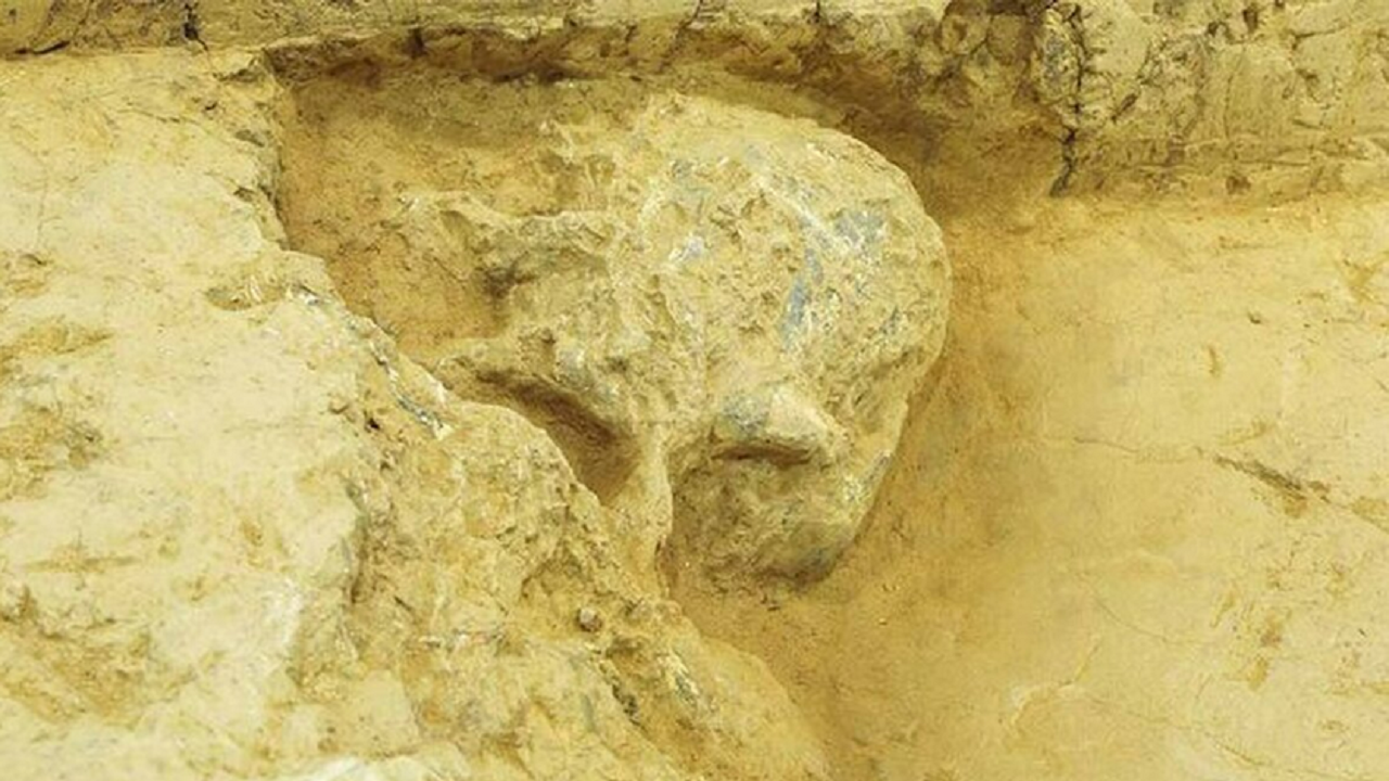 کشف جمجمه انسان یک میلیون ساله + تصاویر