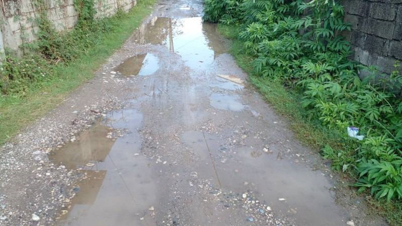 نگاهی به آبگرفتگی معابر روستای پسنده علیا + فیلم و تصاویر