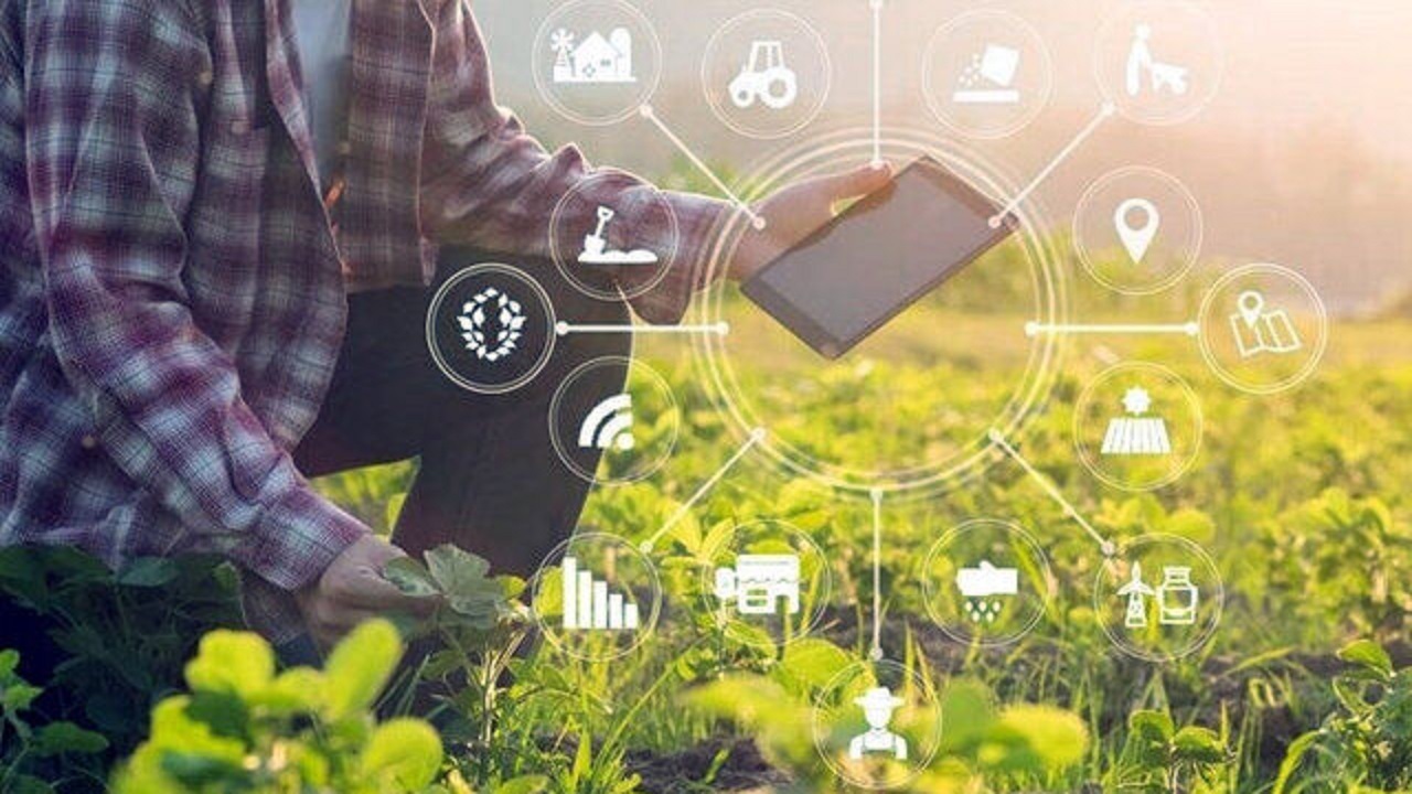 ارائه آموزش های مهارتی به بیش از یک میلیون بهره‌بردار در حوزه کشاورزی