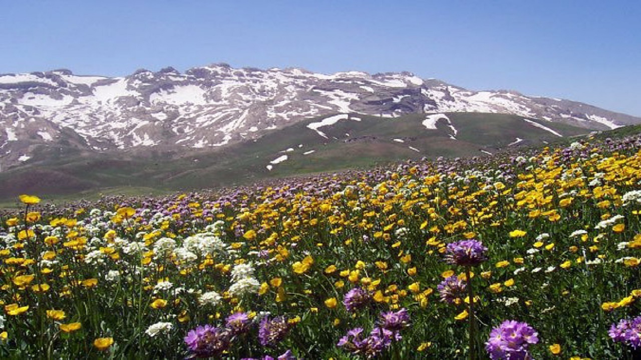 از