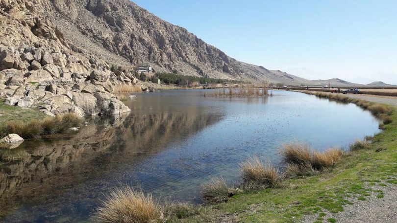 امسال پرندگان مهاجر به تالاب هشیلان کرمانشاه نمی&zwnj;آیند