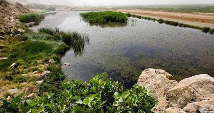 امسال پرندگان مهاجر به تالاب هشیلان کرمانشاه نمی&zwnj;آیند