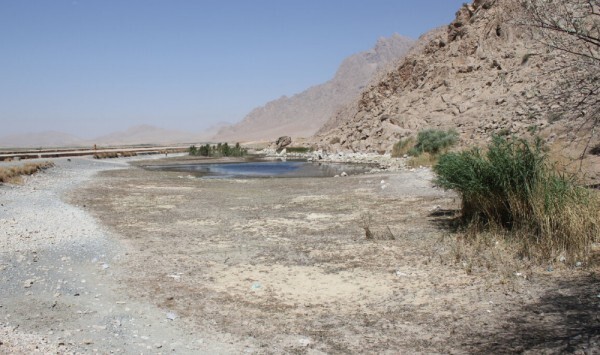 امسال پرندگان مهاجر به تالاب هشیلان کرمانشاه نمی&zwnj;آیند