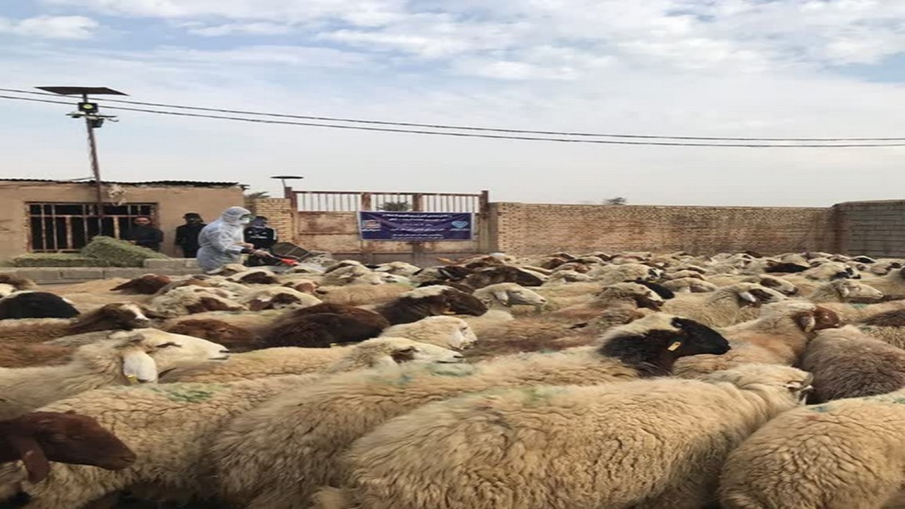 رزمایش پدافند زیستی با محوریت بیماری تب خونریزی دهنده کریمه کنگو