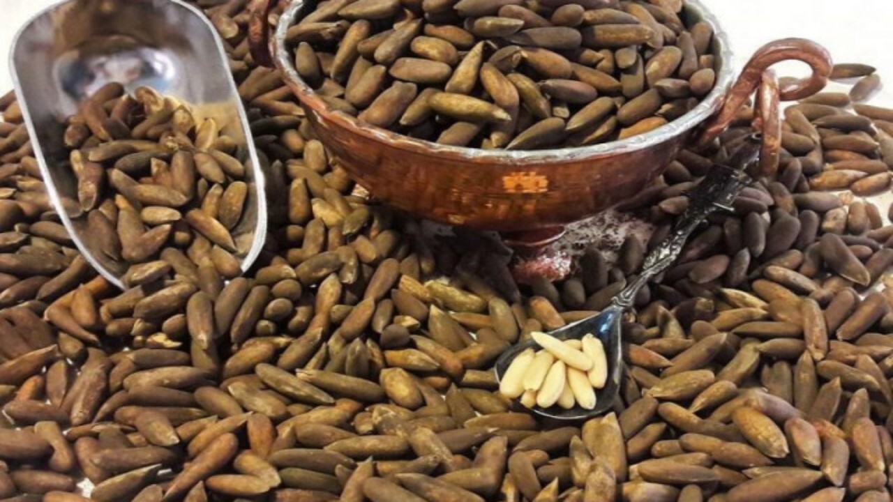 طالبان مسیر زمینی برای صادرات جلغوزه به چین را افتتاح کردند