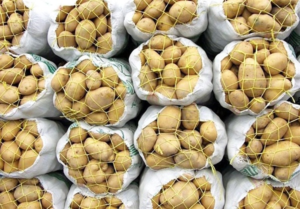 خطر سرمازدگی برای محصولات کشاورزی و انبار های سیب زمینی استان همدان