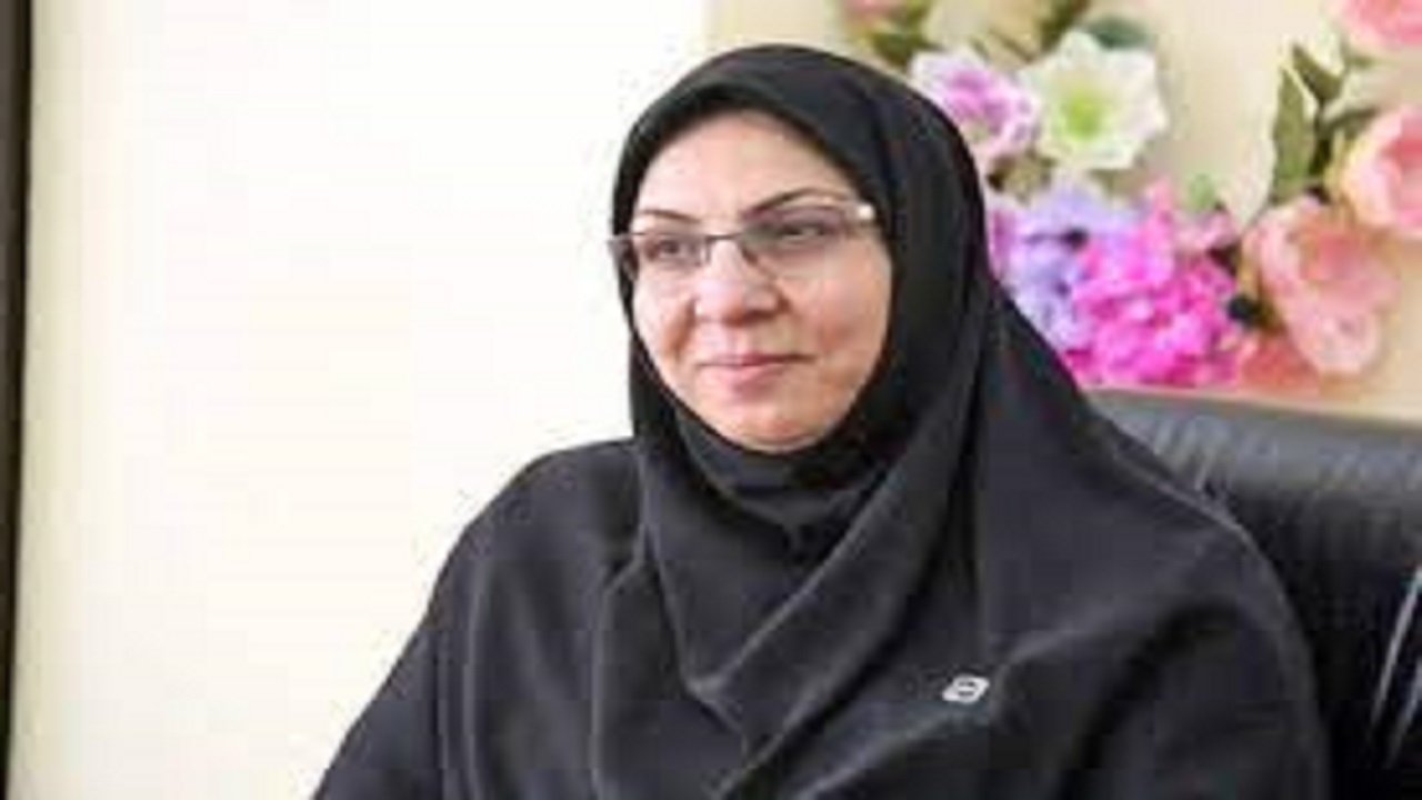 بازنگری بیش از ۳۵۰ استاندارد ملی در استاندارد ایلام