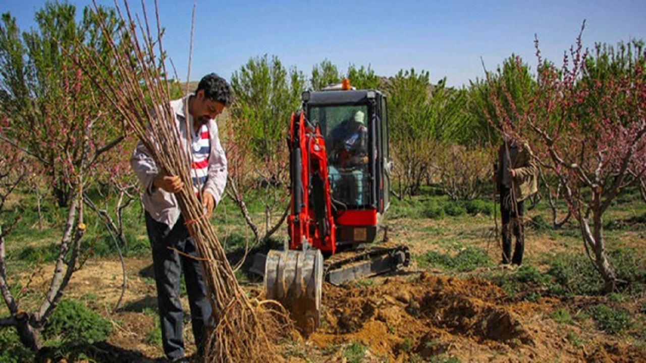 اجرای عملیات صدور شناسنامه باغی در استان سمنان