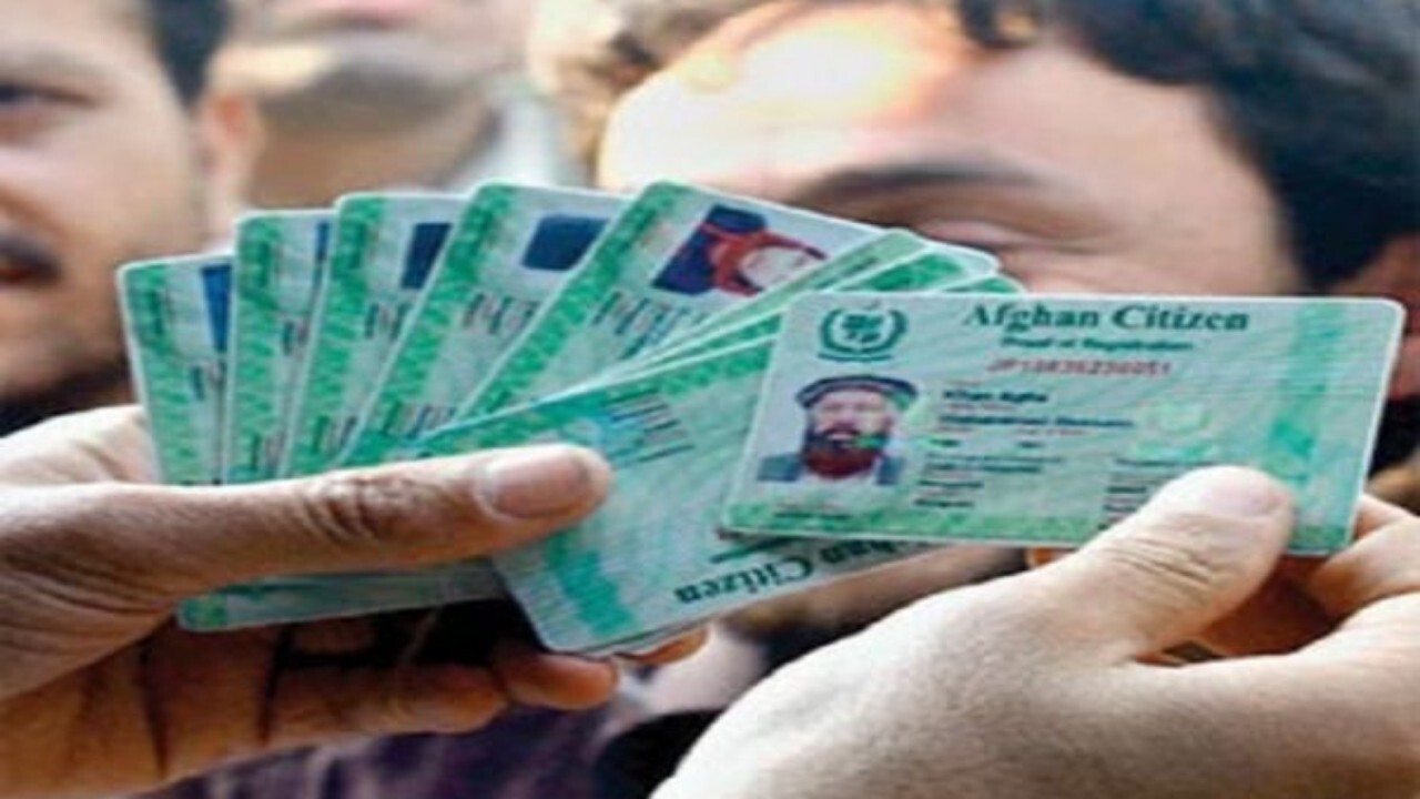 تهران رکورددار صدور و تمدید کارت اشتغال اتباع خارجی شد + فیلم
