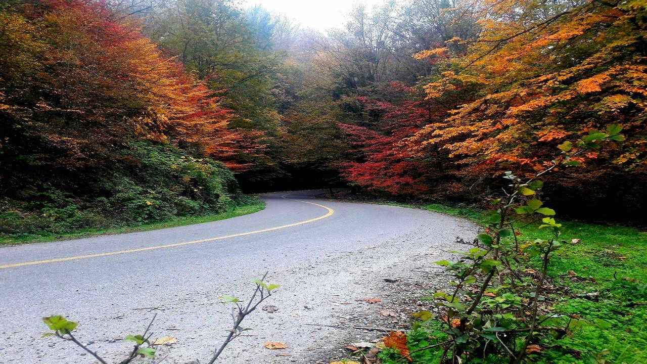 نمایی از طبیعت نوکنده در یک روز پاییزی + تصویر
