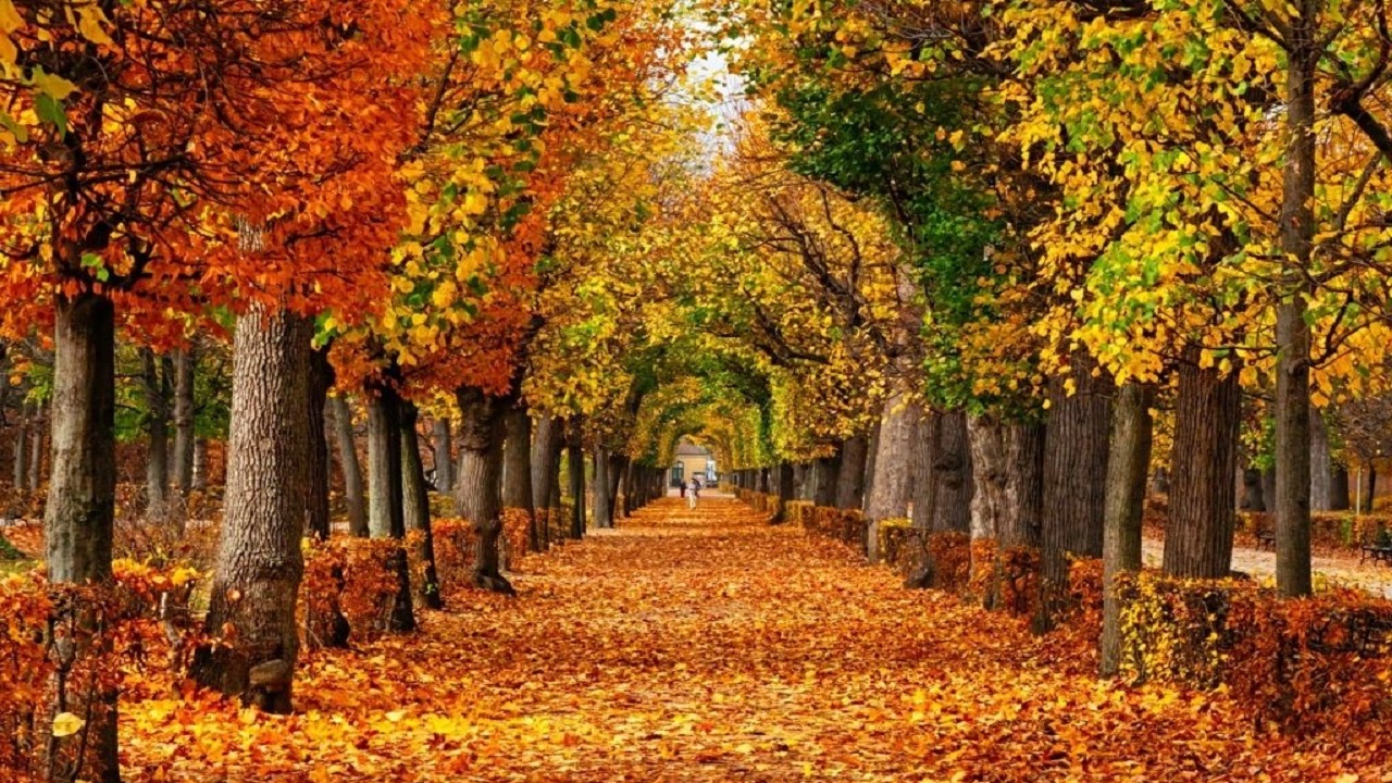 تصاویر پاییزی محل سکونت خود را برای ما ارسال کنید