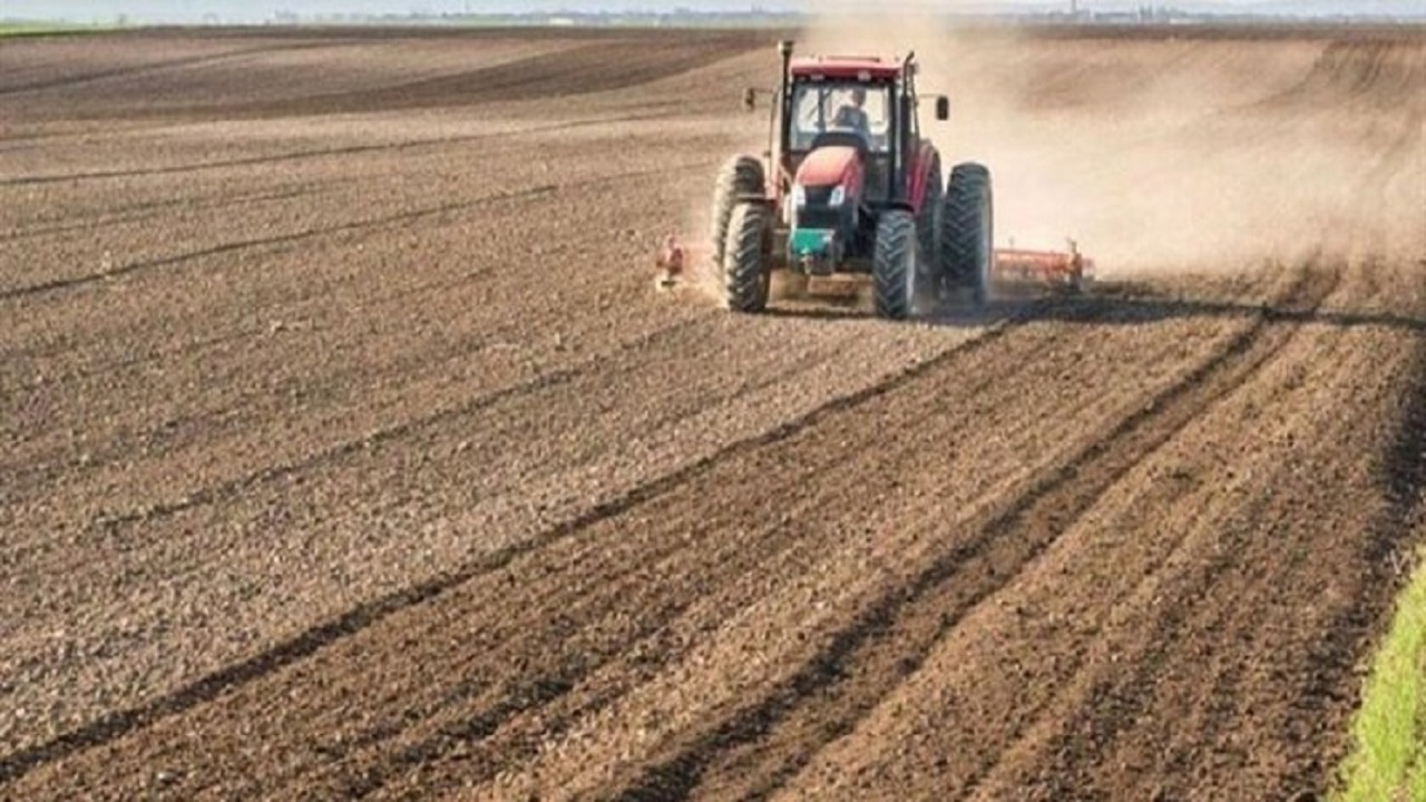 اجرای طرح جهش تولید در چهار هزار هکتار از دیمزار‌های شهرستان خنداب هدفگذاری شد