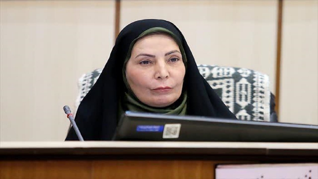 ضرورت طرح جامع برای ساماندهی مشاغل خانگی در شهر یزد