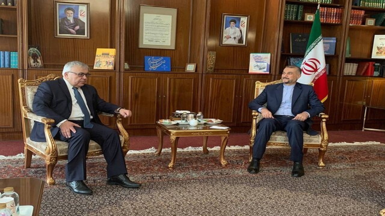 معاون وزیر خارجه روسیه با امیرعبداللهیان دیدار کرد