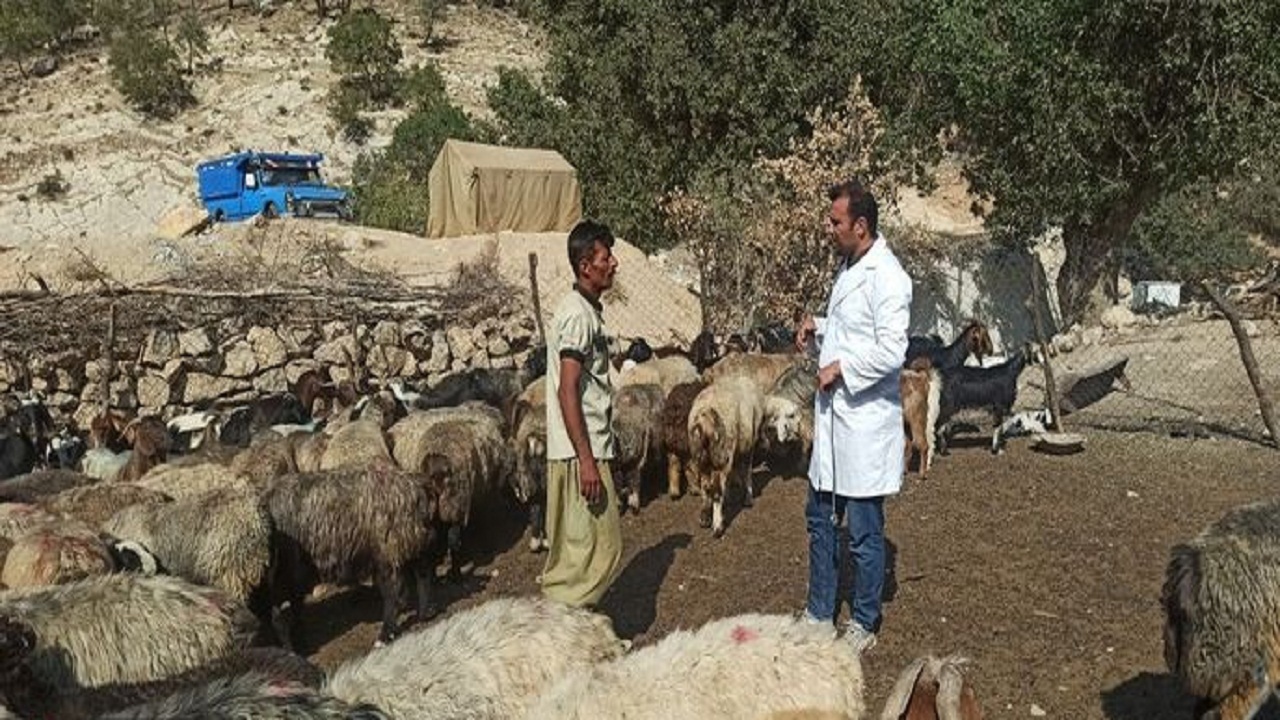 خدمت دامپزشک جهادگر شیرازی در منطقه کمتر برخوردار سرفاریاب